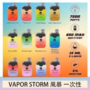 Vapor Storm風暴電子煙7500口（5%）一次性